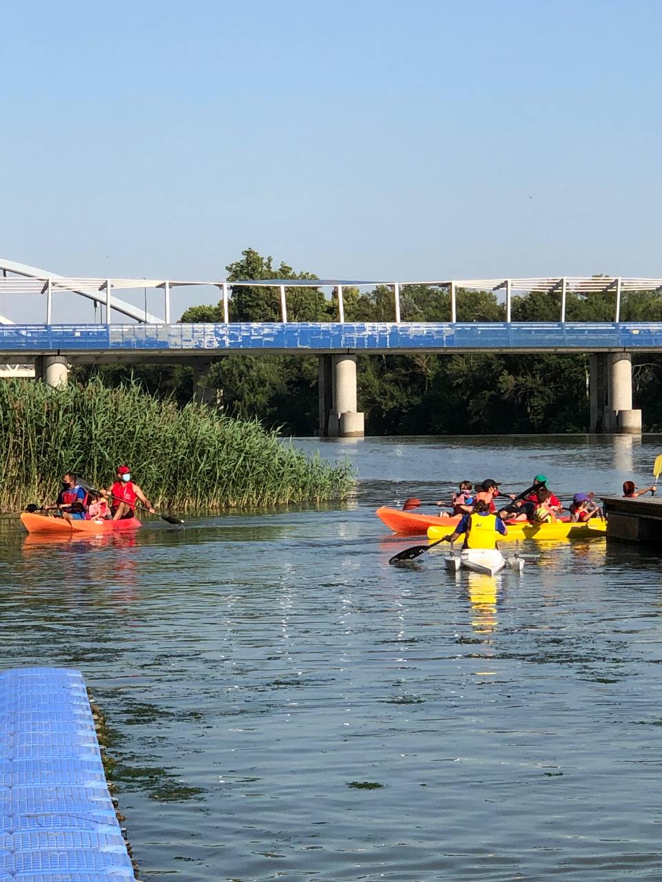 ¡Gracias por venir!